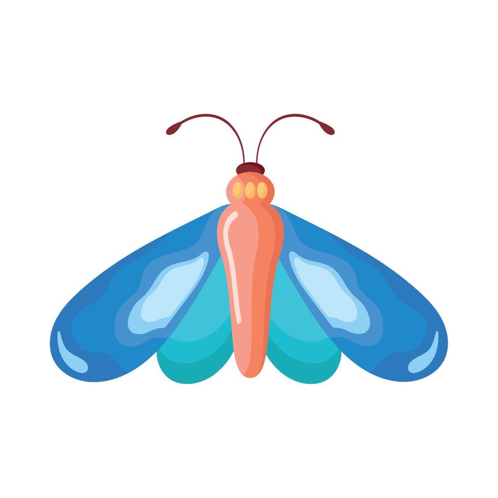 animal insecte papillon bleu vecteur