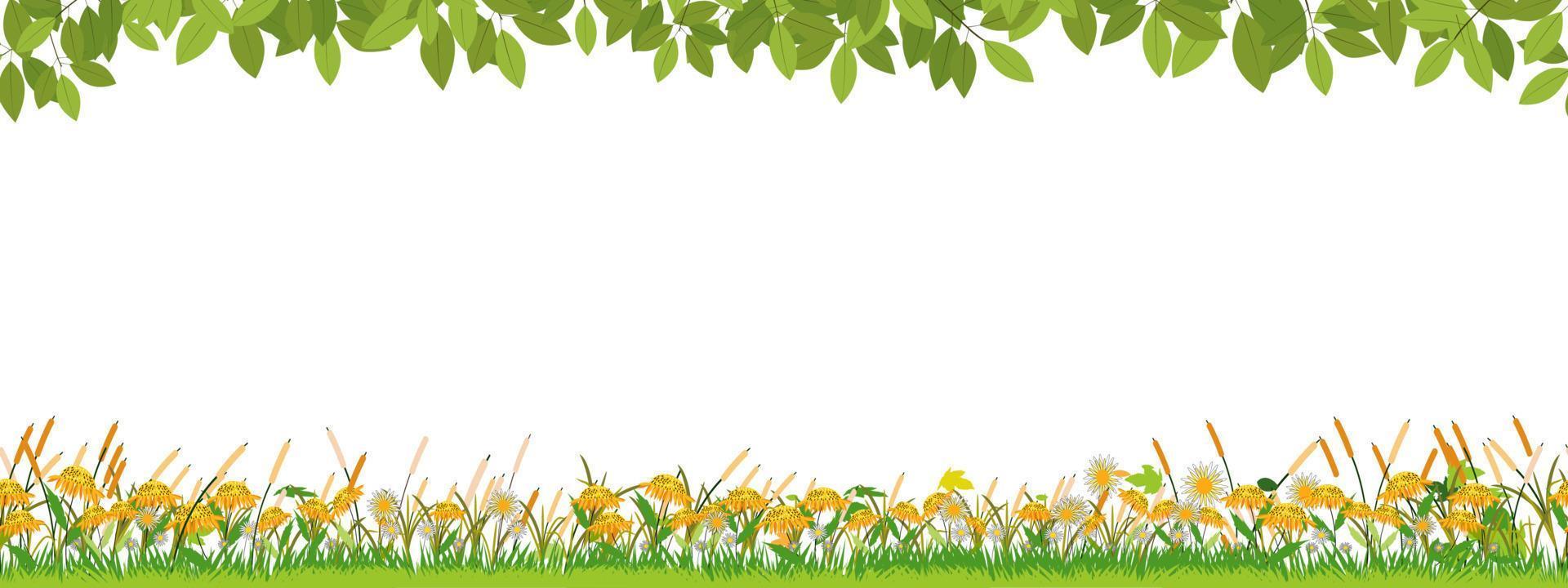 modèle sans couture paysage de champs verts de printemps sur fond blanc, vecteur large panorama sans fin belle nature rurale au printemps avec des tournesols sur l'herbe pour pâques, printemps, bannière d'été