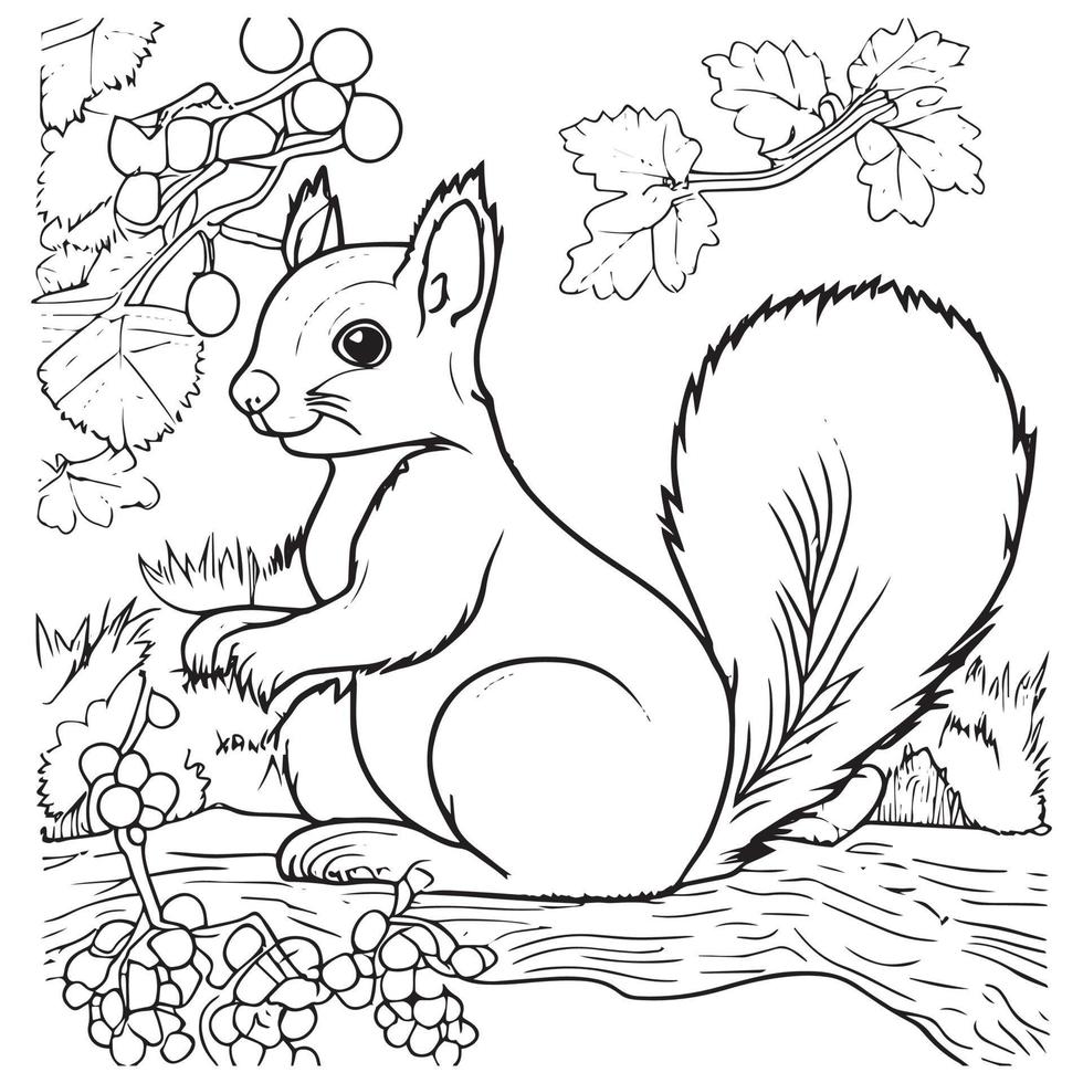 illustration vectorielle de contour d'écureuil. livre de coloriage pour enfants. vecteur