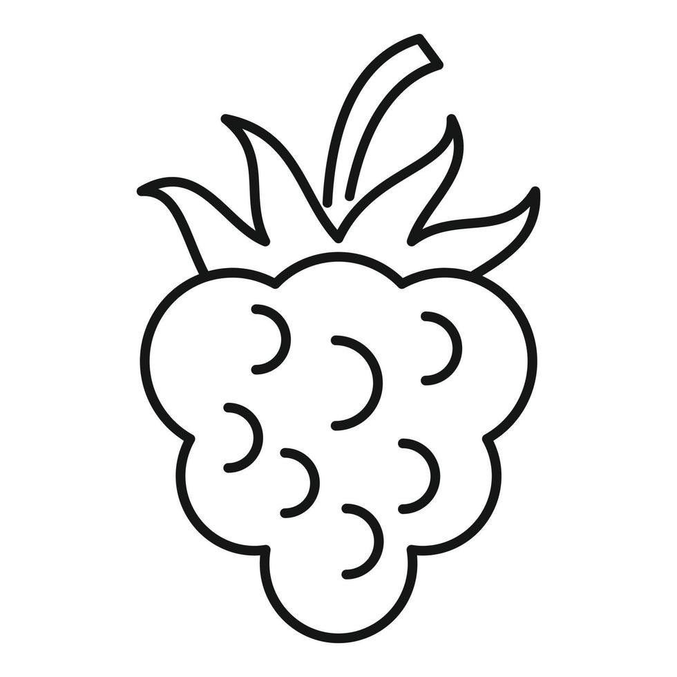 icône de mûre de fruits, style de contour vecteur