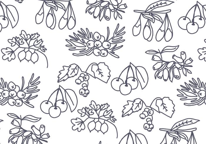 Graines d'arbres et baies Vector Pattern