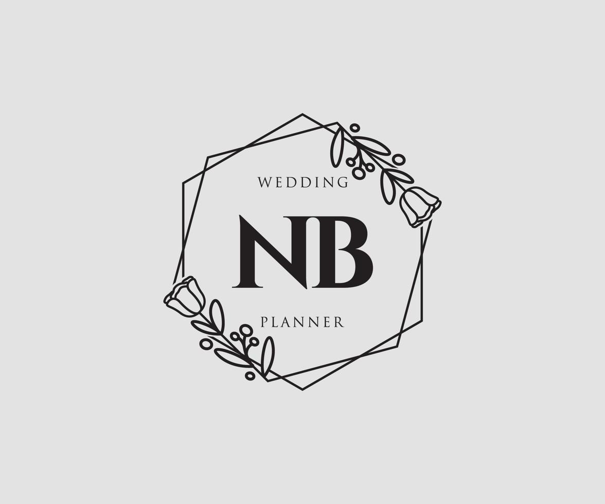 initiale nb logo féminin. utilisable pour les logos nature, salon, spa, cosmétique et beauté. élément de modèle de conception de logo vectoriel plat.