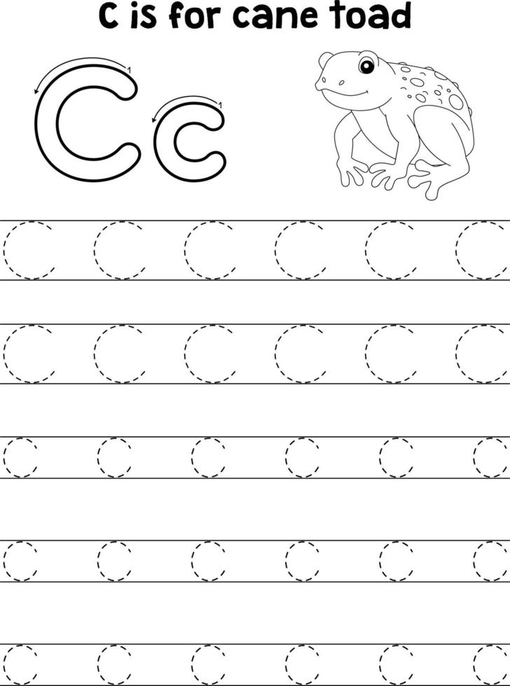 crapaud de canne animal traçage lettre abc coloriage c vecteur