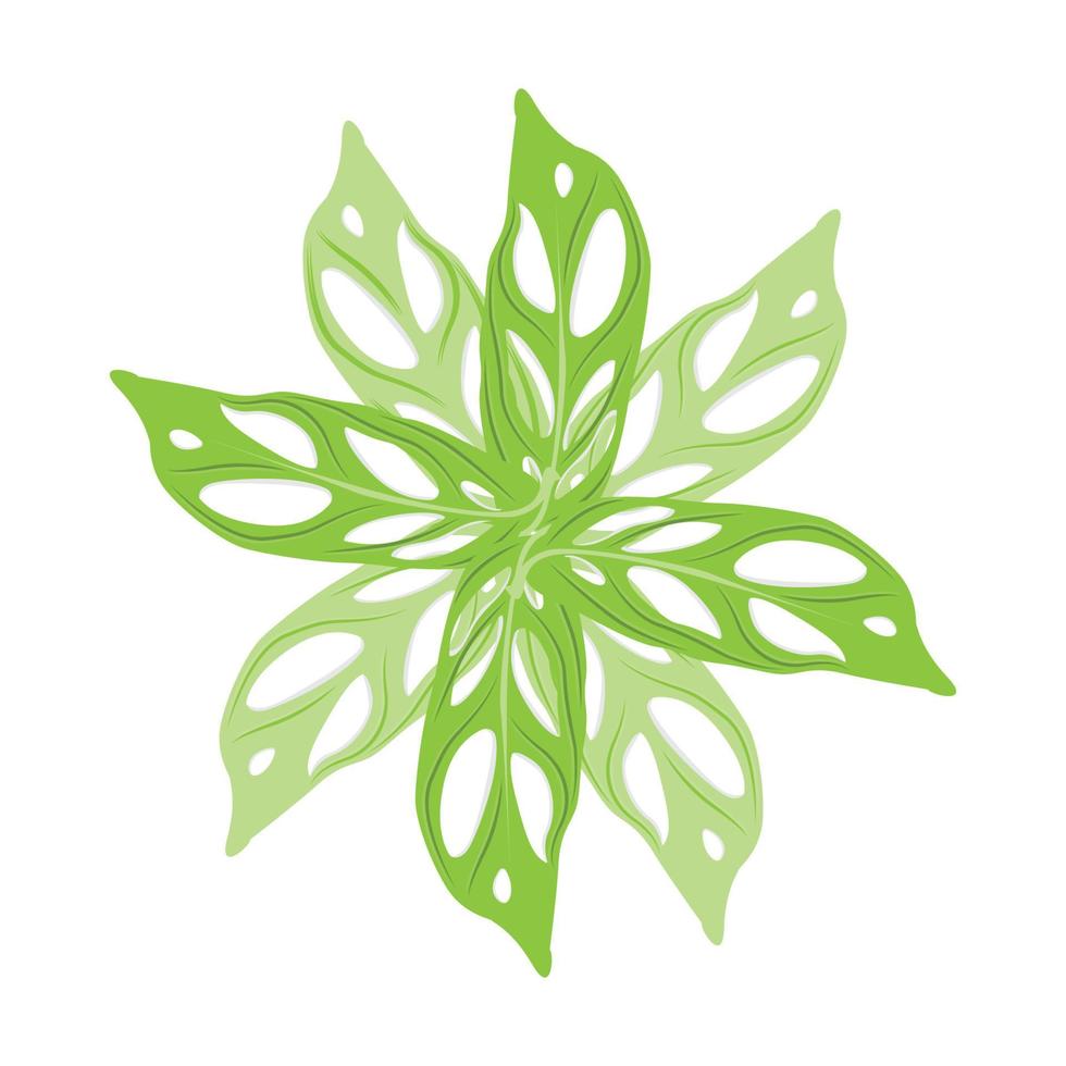 logo de feuille de monstera adansonii, vecteur de plante verte, vecteur d'arbre, illustration de feuille rare