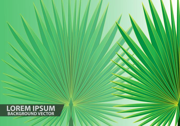 Palm Leaves Background Vector
