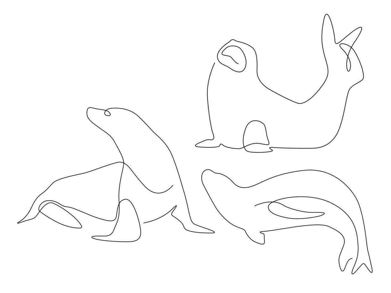 vecteur minimalisme moderne de l'art de la ligne de phoque animal marin dessin illustration