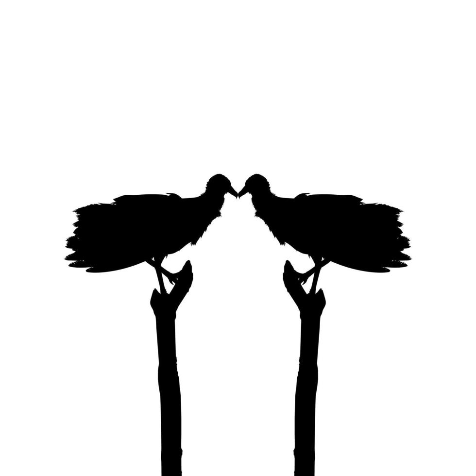 silhouette de l'oiseau vautour noir, basée sur ma photographie comme référence d'image, emplacement à nickerie, suriname, amérique du sud. illustration vectorielle vecteur