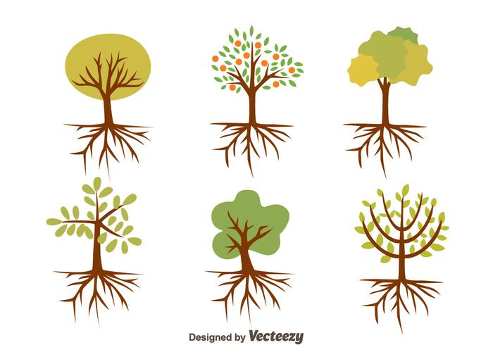 Bel arbre avec des vecteurs Roots vecteur