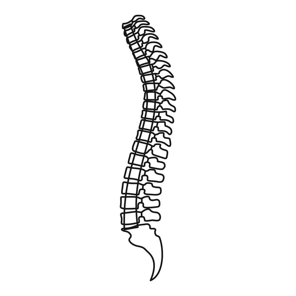 icône de la colonne vertébrale, style de contour vecteur
