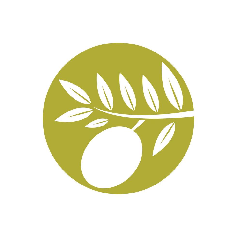 illustration d'images logo olive vecteur