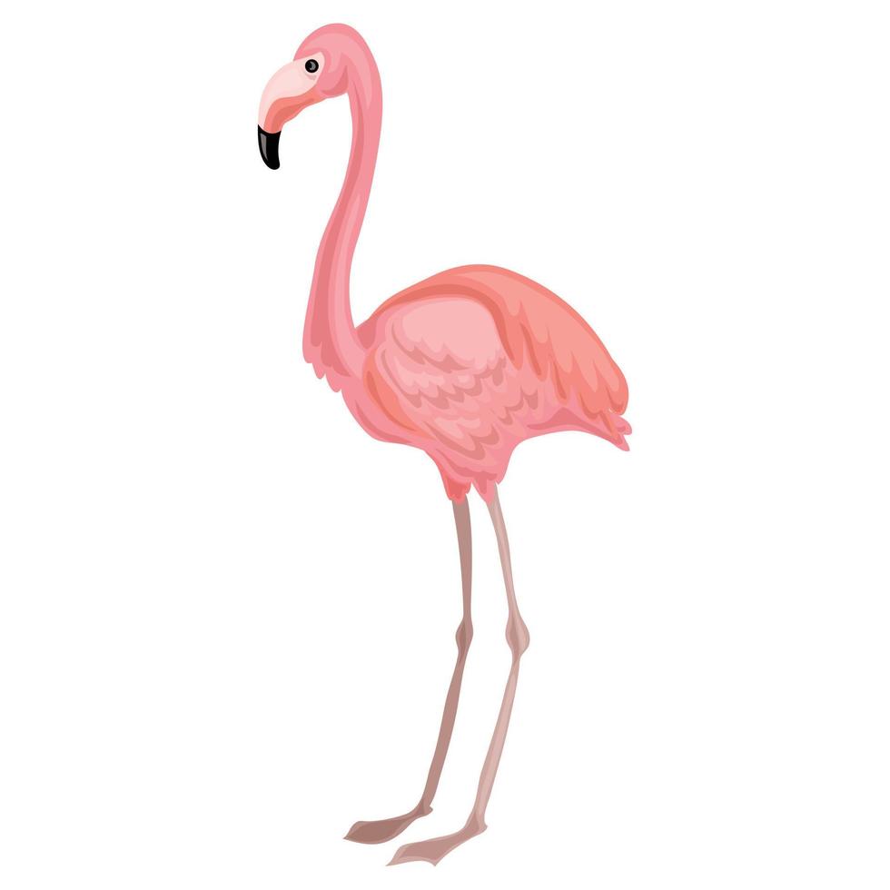 icône de flamant rose, style cartoon vecteur