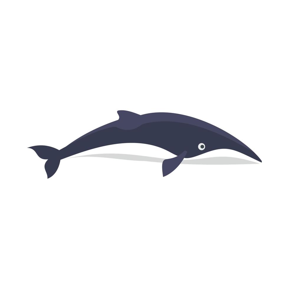 icône de petit rorqual, style plat vecteur