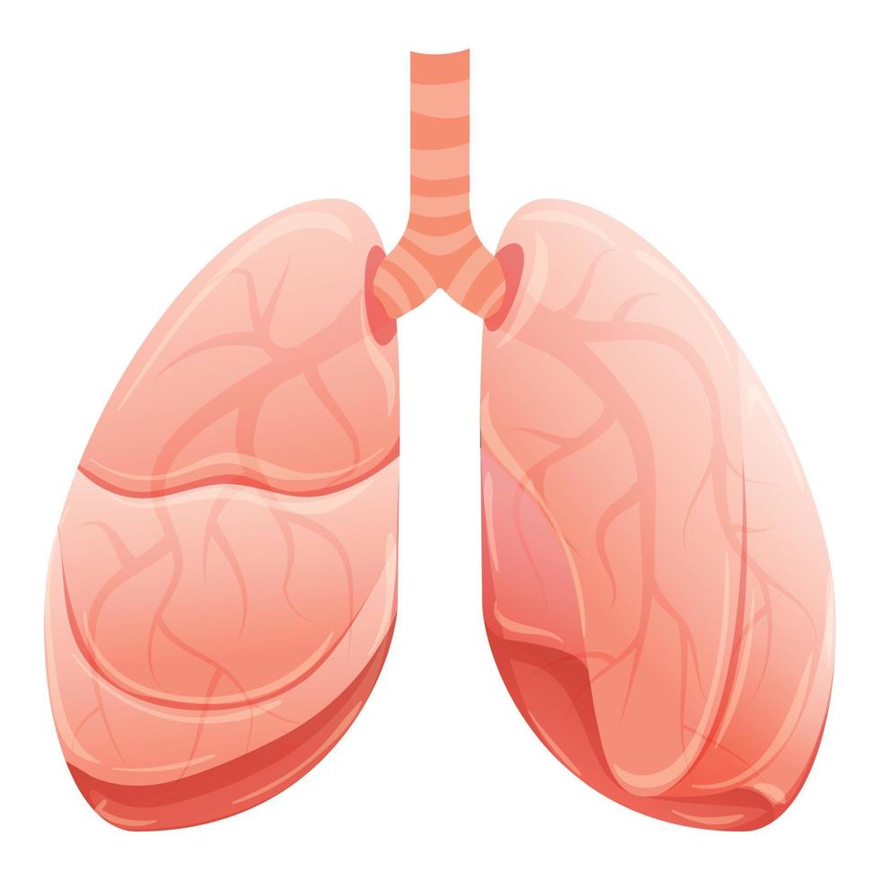 icône de poumons sains, style cartoon vecteur