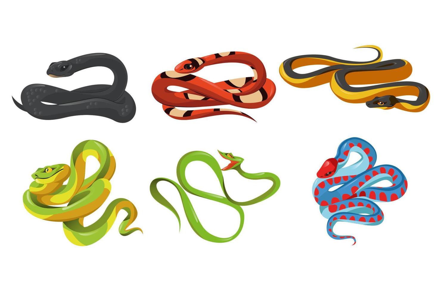 ensemble de serpents vectoriels isolés d'espèces de serpents de dessin animé vecteur
