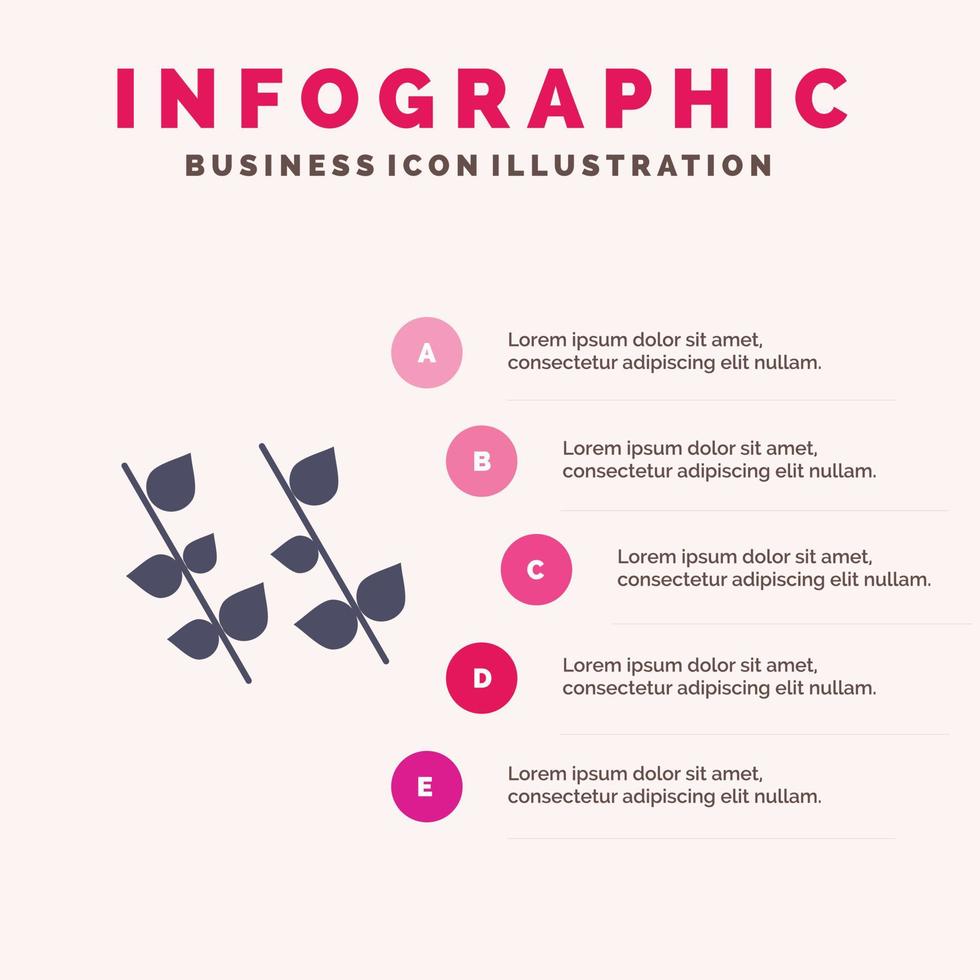 écologie feuille nature printemps solide icône infographie 5 étapes présentation arrière-plan vecteur