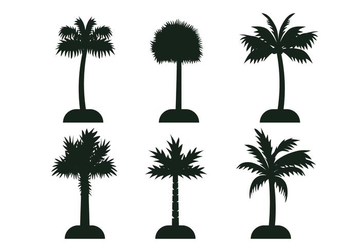 Silhouette du vecteur arbre palmetto