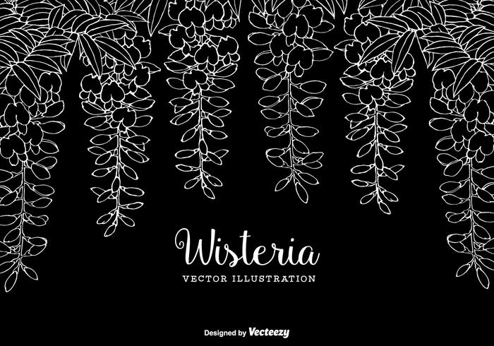 Hand Drawn Vector Background Wisteria