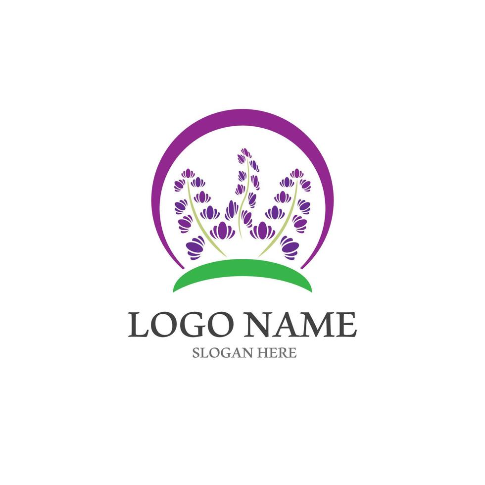 vecteur de logo icône fleur de lavande fraîche