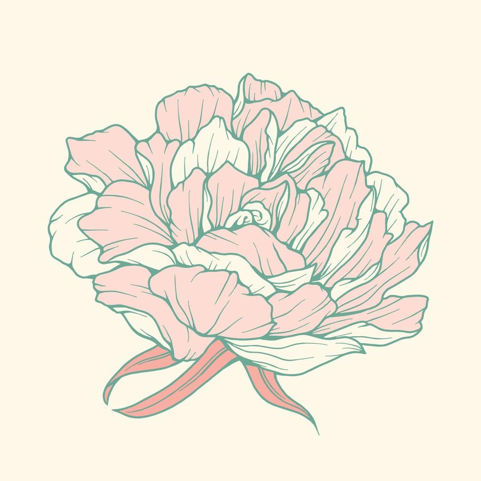 illustration dessinée à la main de plantes et de fleurs de beauté dans un style d'art en ligne coloré pour le fond, le motif floral, les invitations et l'impression de tissu vecteur