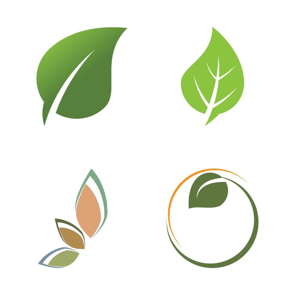 feuille verte logo écologie nature élément vecteur icône