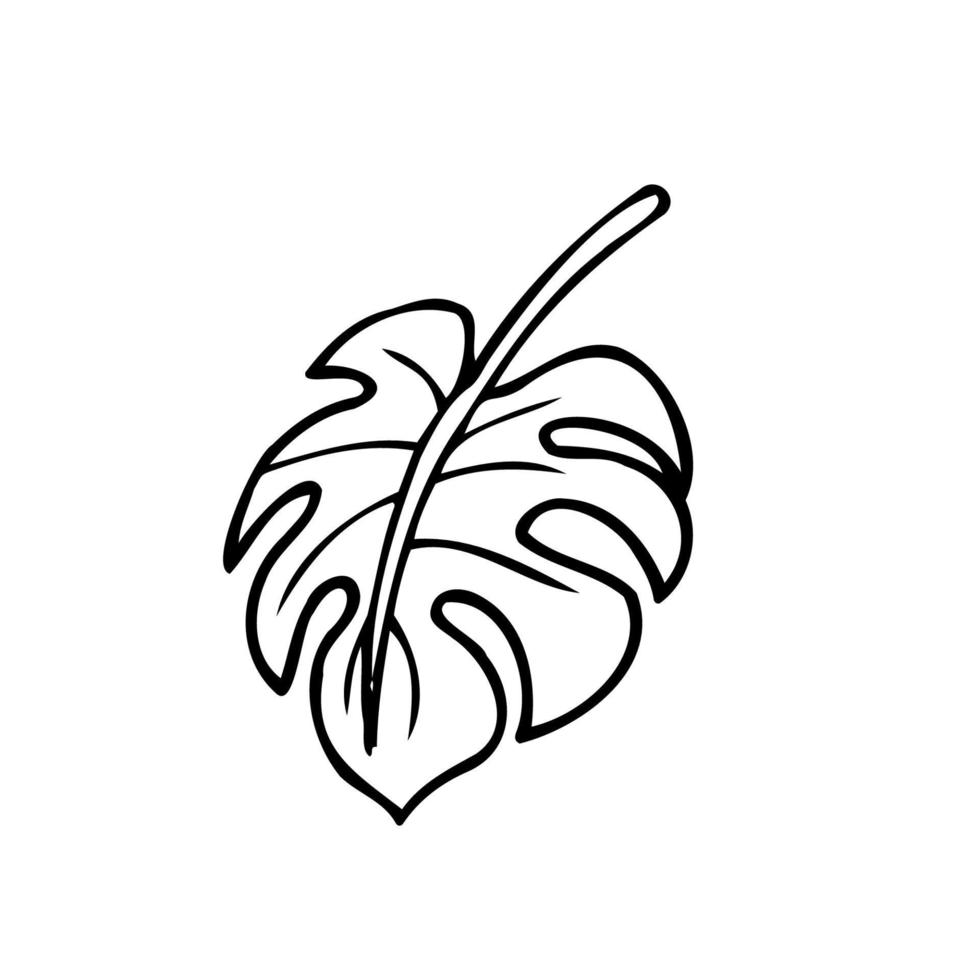 isolat de feuille de monstera - dessin de doodle vectoriel. contour noir illustration dessinée à la main d'une plante tropicale vecteur