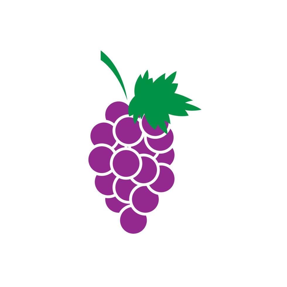 vecteur de logo de raisin