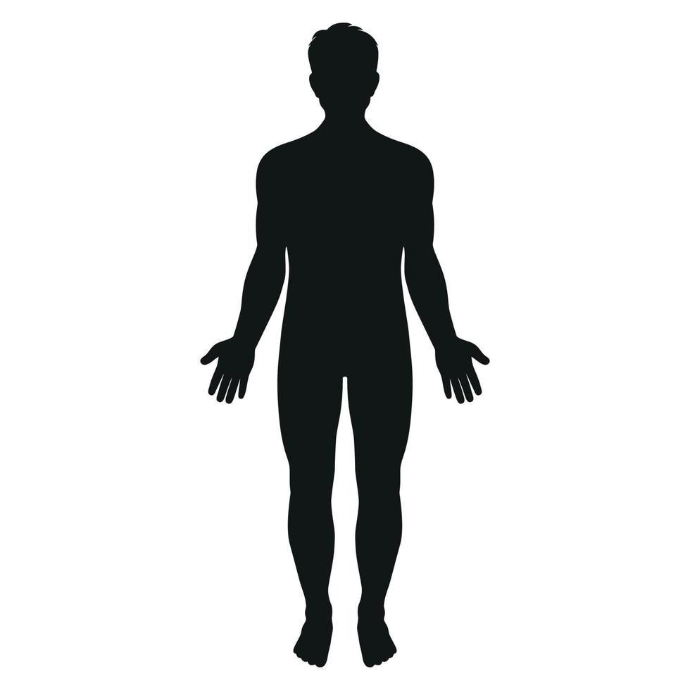 illustration de la silhouette masculine vecteur