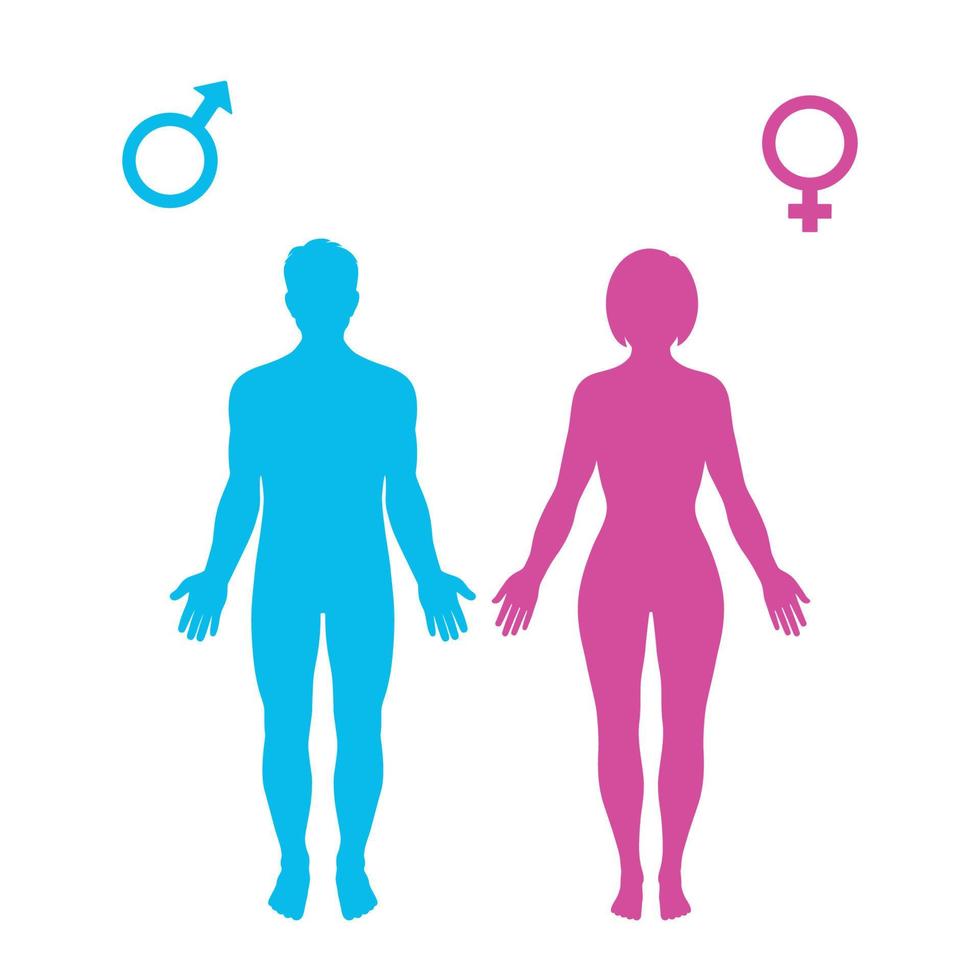 illustration de la silhouette de l'homme et de la femme avec le symbole de genre vecteur