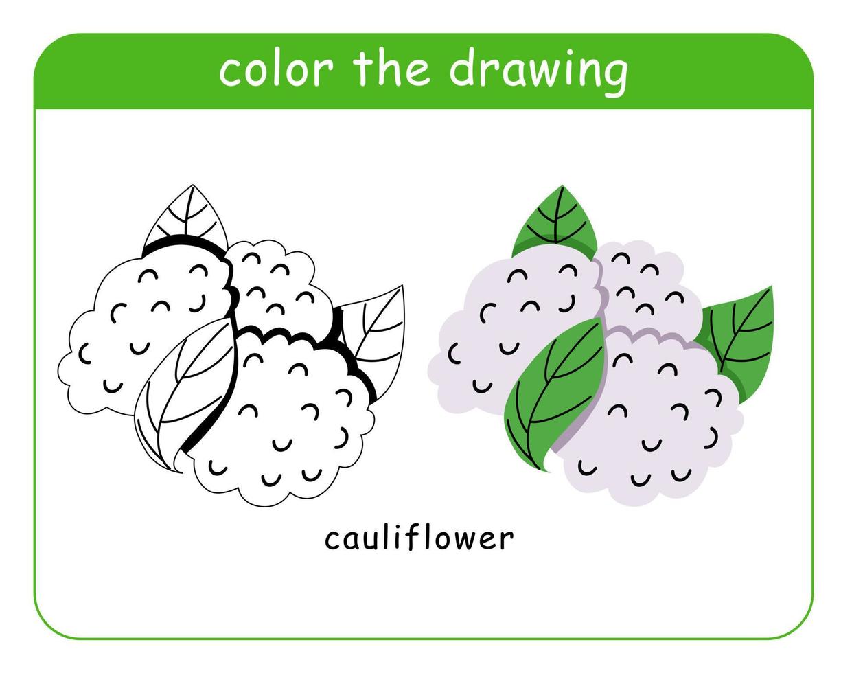livre de coloriage pour enfants. chou-fleur en couleur et en noir et blanc. vecteur