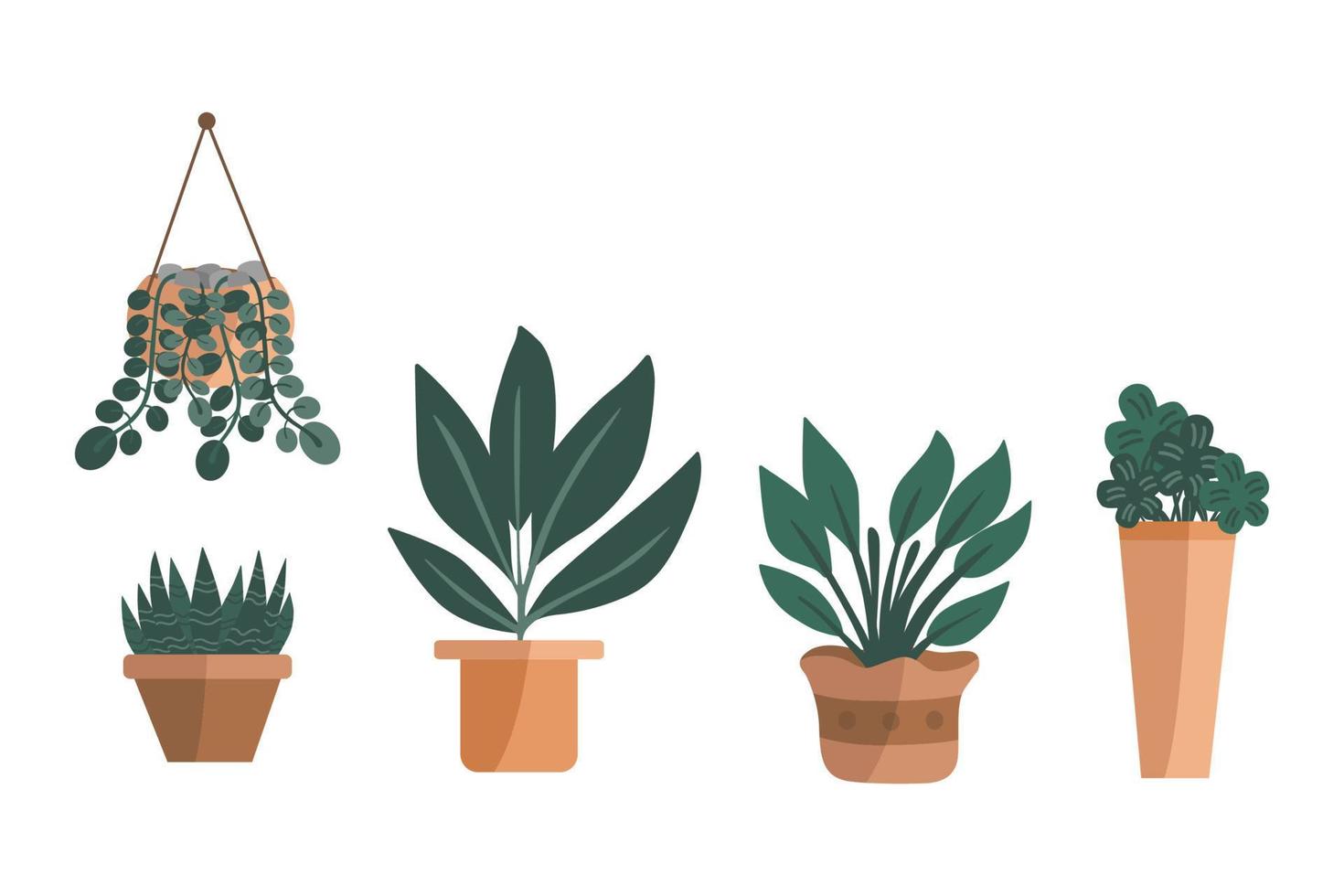 collection de plantes en pot. plantes filtrant l'air dans les autres en pot. vecteur dessiné à la main. ensemble d'illustration de plantes.