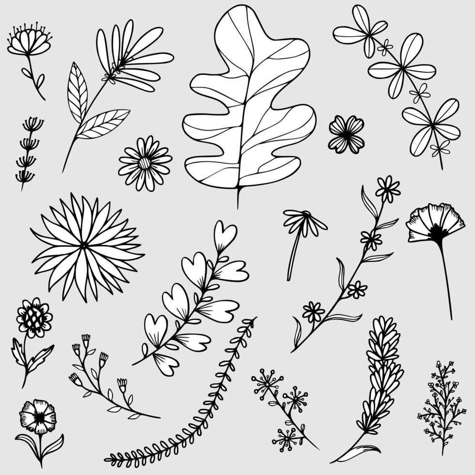fleur doodle ensemble de vecteurs dessinés à la main vecteur