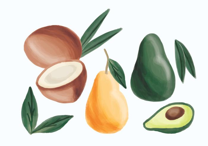 Avocat, poire et noix de coco dessiné à la main vecteur