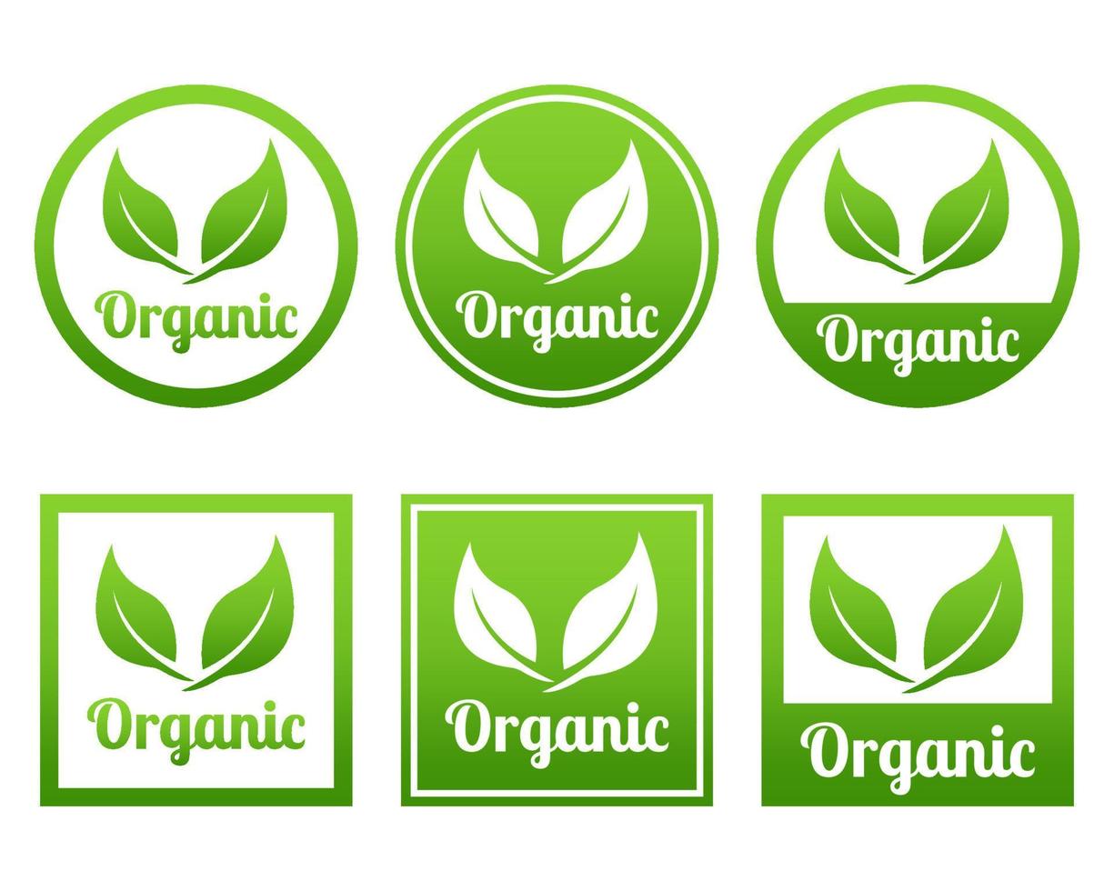 étiquette badge ensemble feuilles biologiques bio écologie logo étiquettes modèle conception texte peut être modifié pour les produits naturels aliments et fruits vecteur