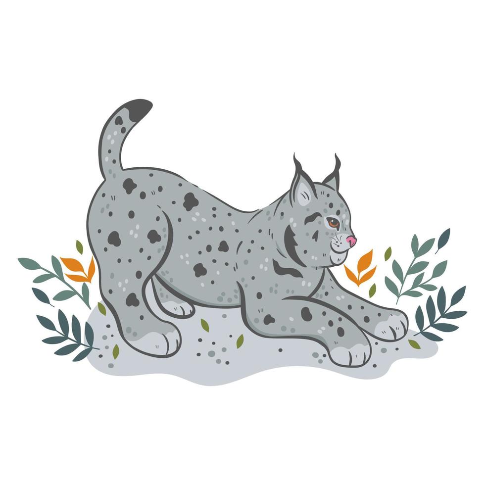 mignon lynx forestier isolé sur fond blanc. graphiques vectoriels. vecteur