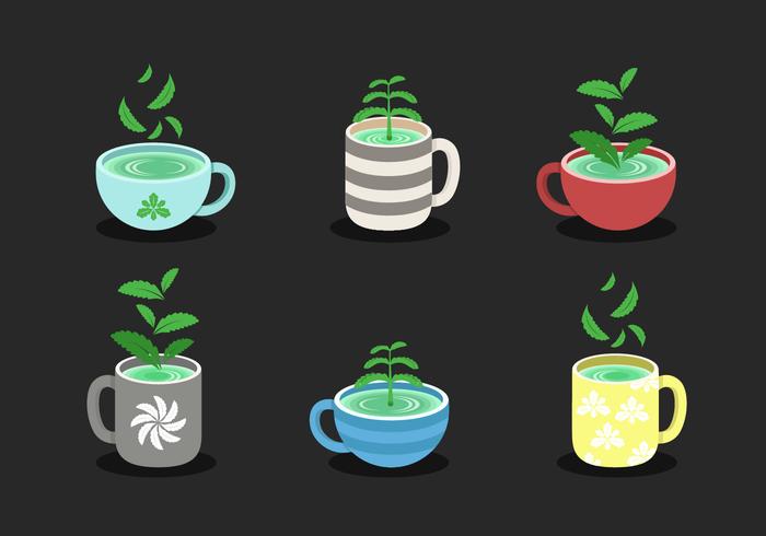 Stevia With Cup Vector Collection