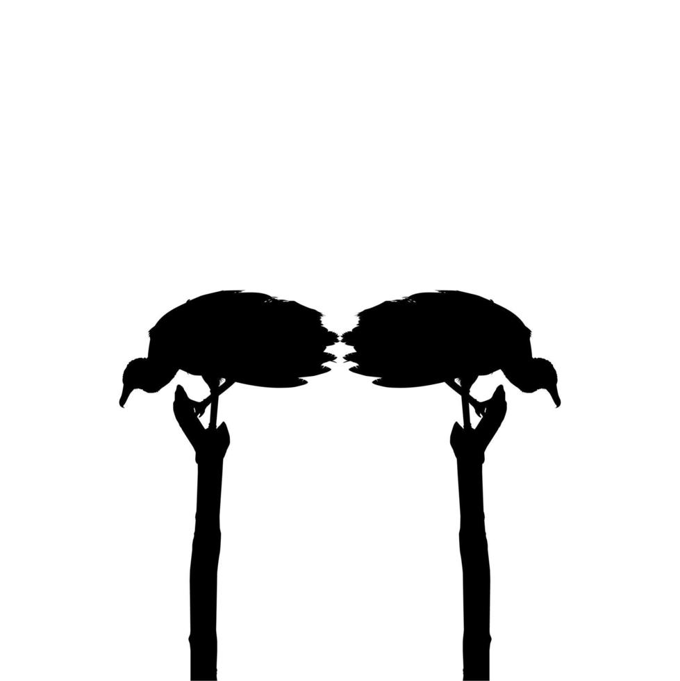 silhouette de l'oiseau vautour noir, basée sur ma photographie comme référence d'image, emplacement à nickerie, suriname, amérique du sud. illustration vectorielle vecteur