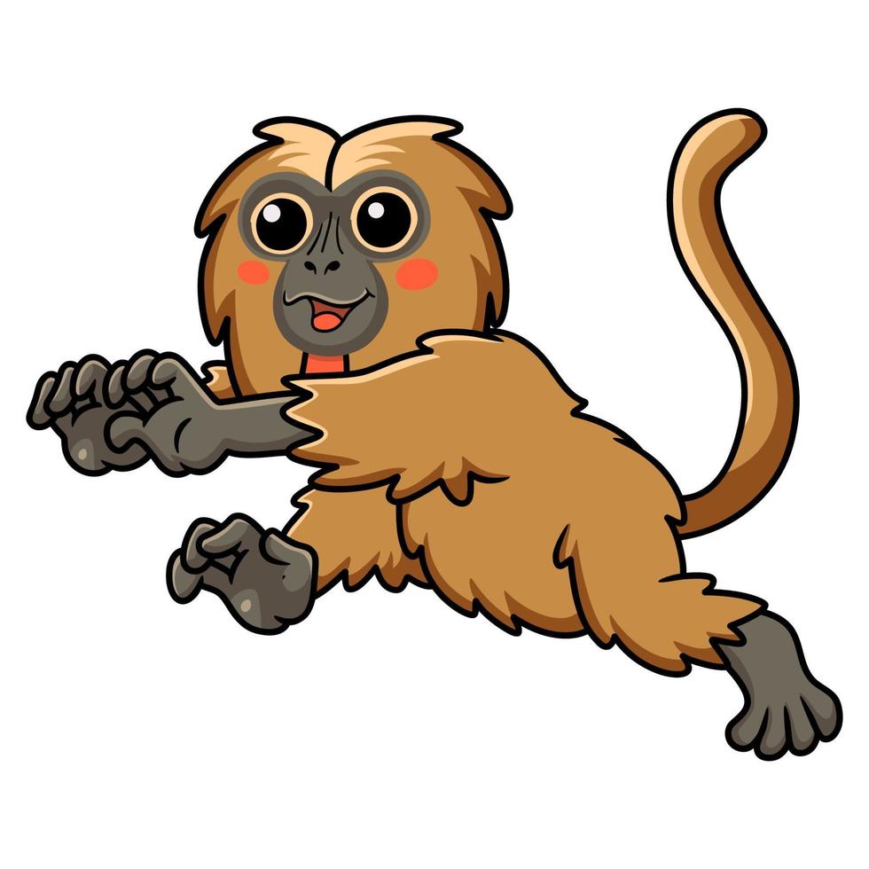 dessin animé mignon petit singe gelada en cours d'exécution vecteur
