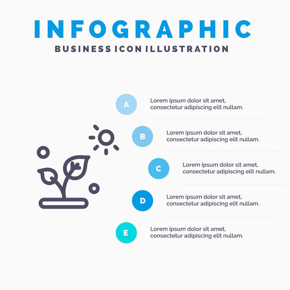 icône de ligne de soleil science végétale biologie avec 5 étapes présentation infographie fond vecteur