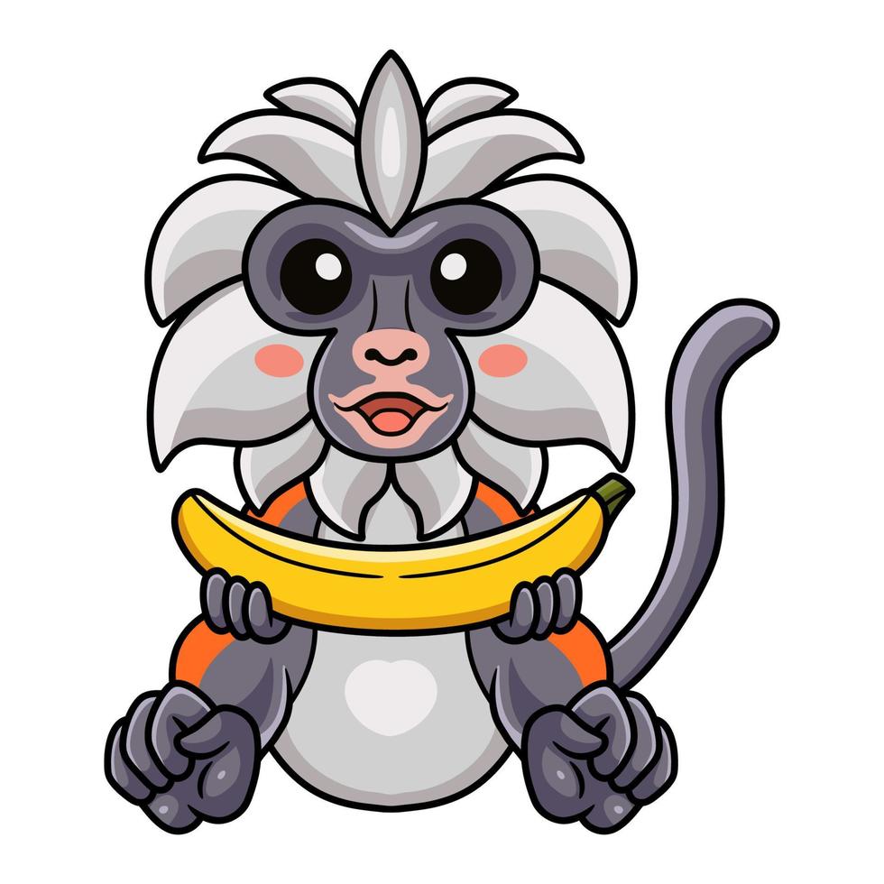 dessin animé mignon singe colobe rouge de zanzibar tenant une banane vecteur