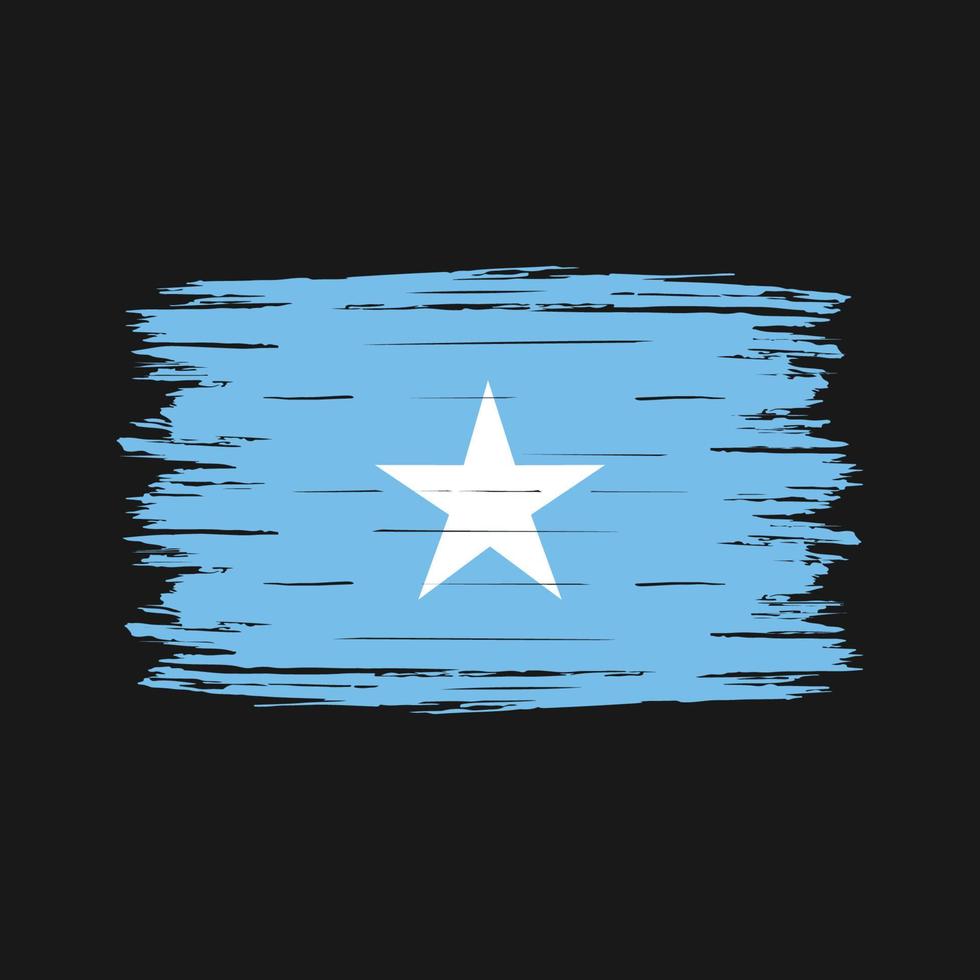brosse drapeau somalie vecteur