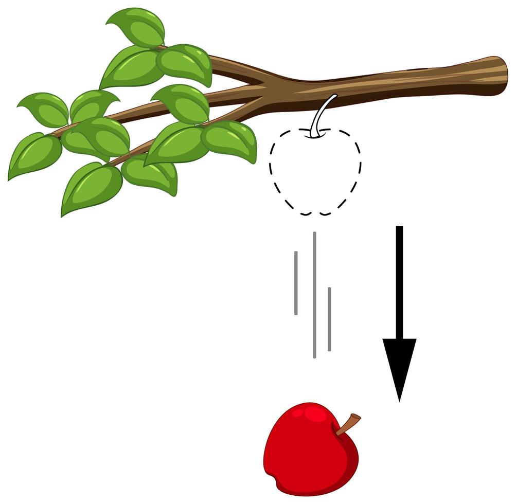 pomme qui tombe pour une expérience de gravité vecteur