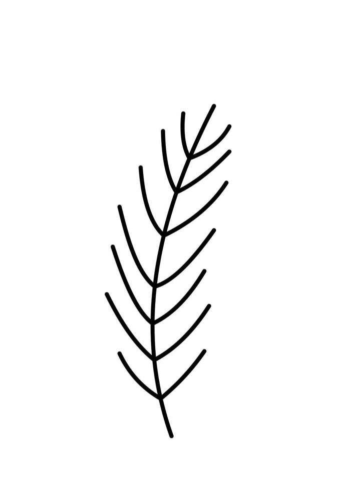 brin de pin d'hiver, sapin, épicéa. icône de vecteur de branche d'arbre conifère noël. clipart botanique illustration dessinée à la main pour la décoration, la conception de cartes, le web d'invitation