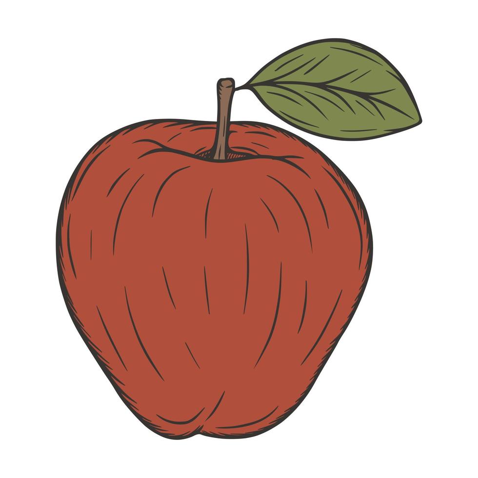 pomme fruit illustration vectorielle dessinés à la main vecteur