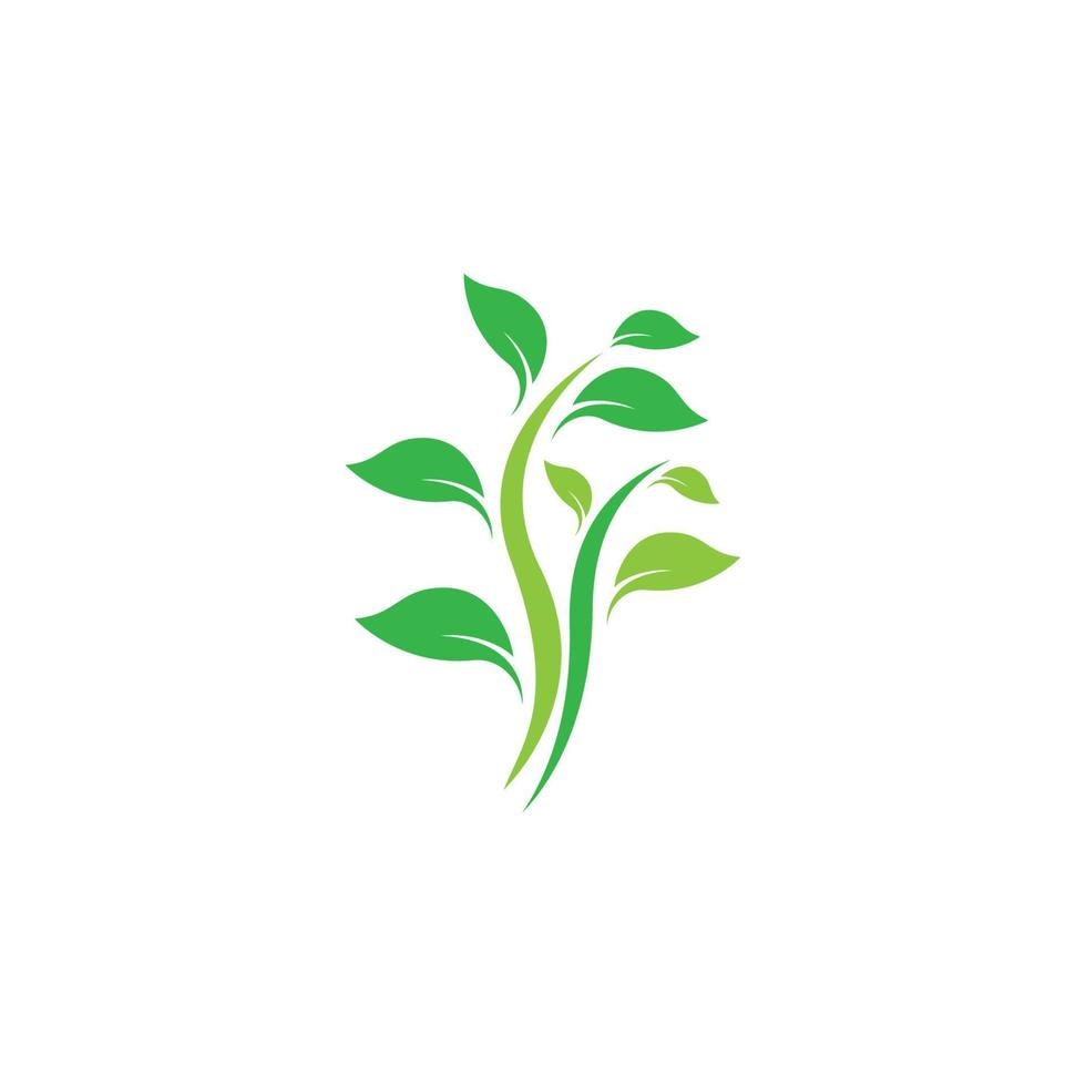 icône de vecteur de symbole de feuille d'arbre