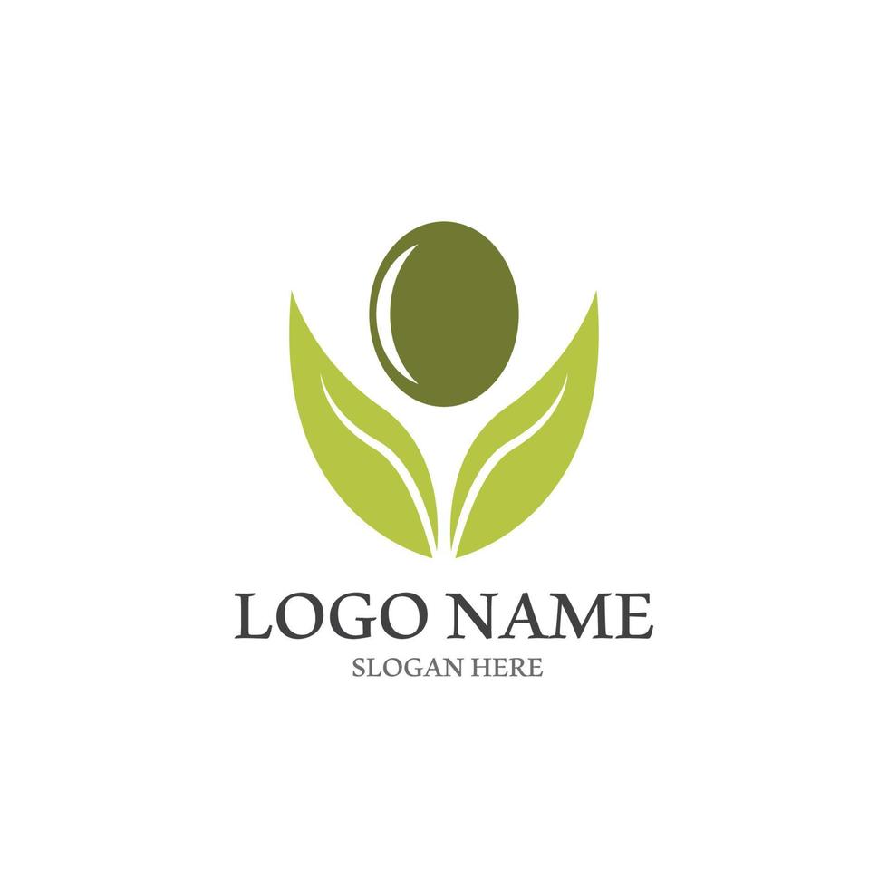 illustration vectorielle de conception de logo d'huile d'olive extra vierge vecteur