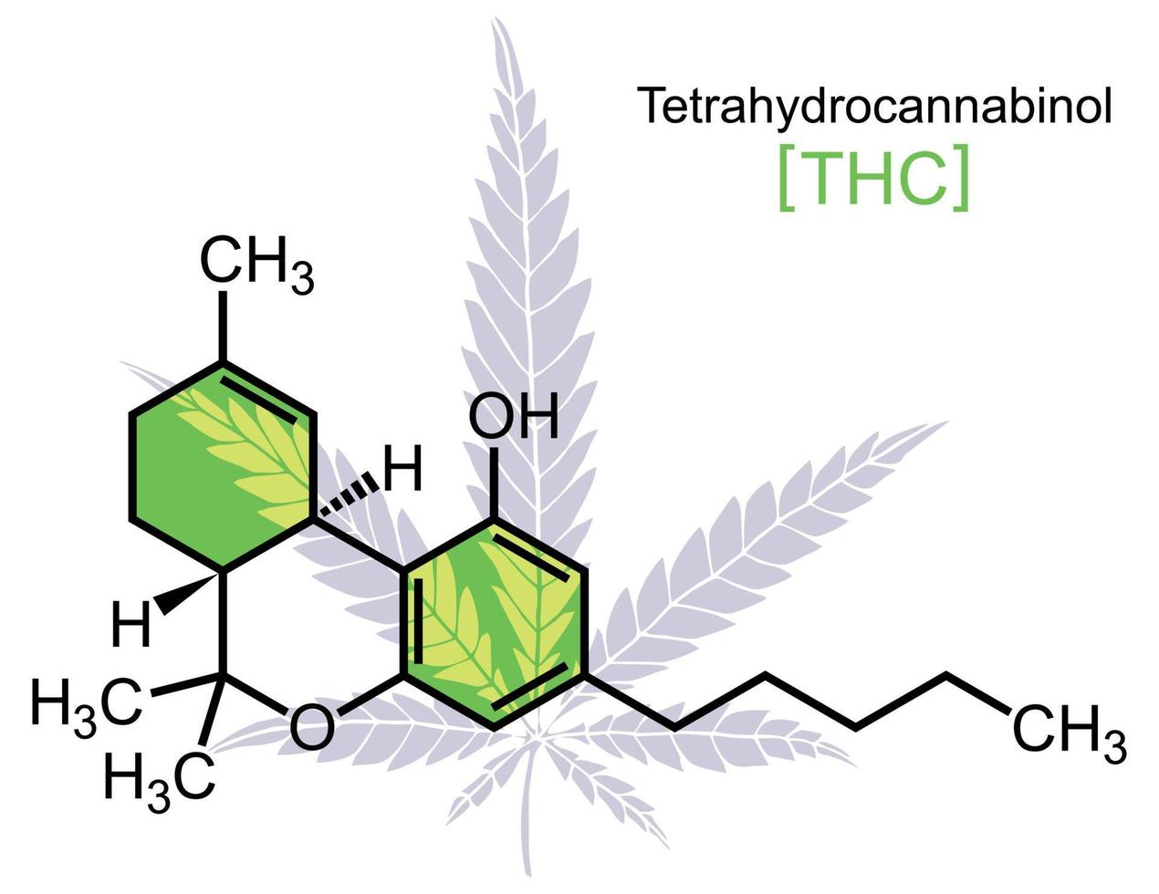 molécule de thc sur blanc vecteur