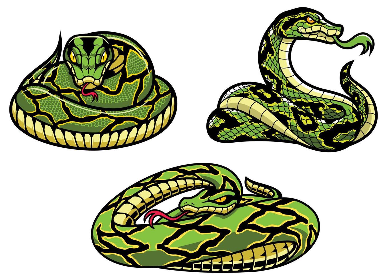 serpents sur blanc vecteur