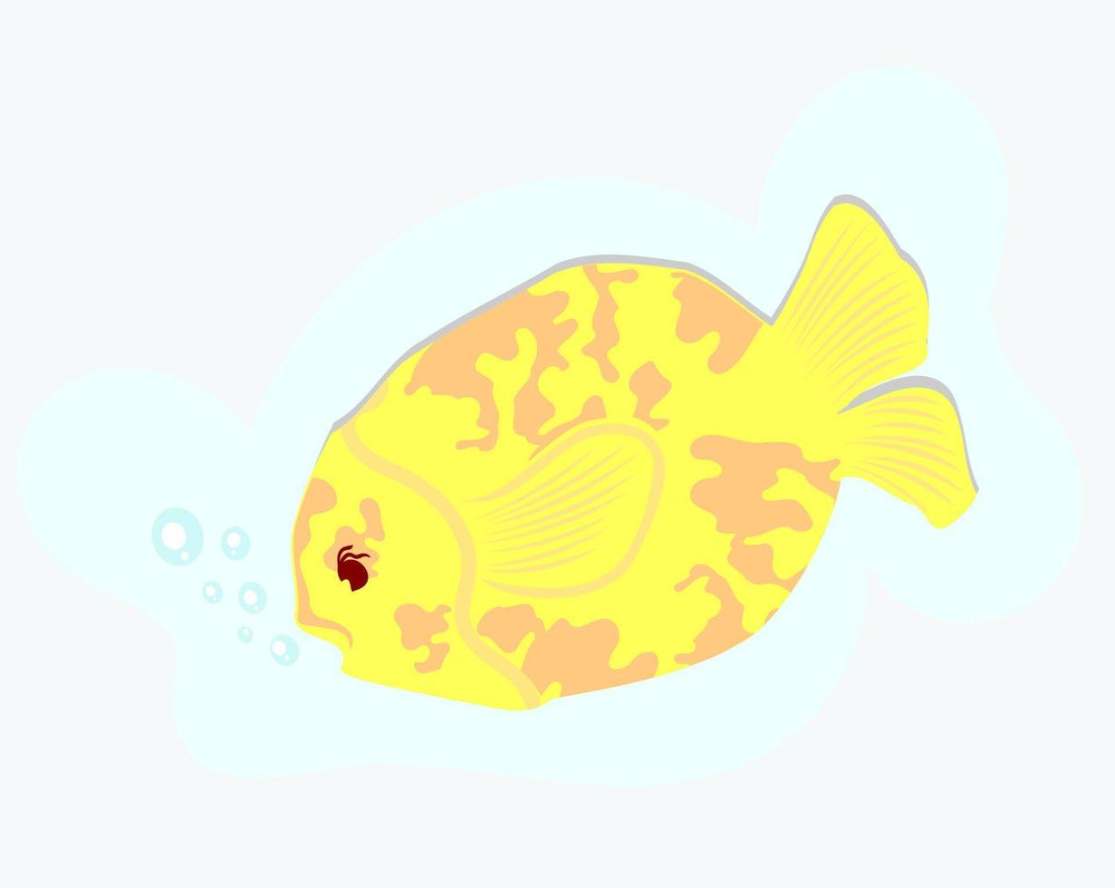 illustration vectorielle de poisson mignon dessin animé vecteur