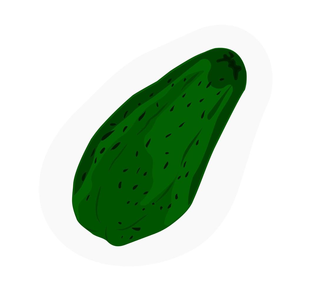 illustration vectorielle de chayotte verte de légumes vecteur