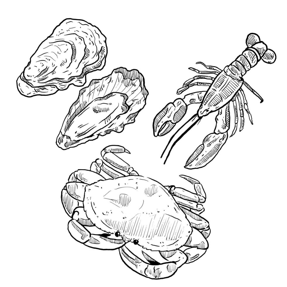 ensemble de croquis et élément de fruits de mer dessinés à la main huître homard et crabe vecteur